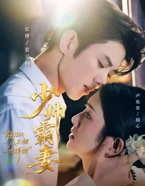 少帅霸妻，强扭的瓜不甜也得甜（70集全）蓝博＆卢鹿鹿-搜外项目网