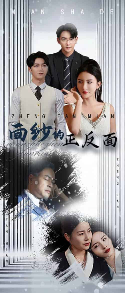 面纱的正反面（71集全）李若希-搜外项目网