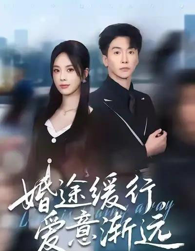 婚途缓行，爱意渐远（60集全）刘承林＆郑千亦-搜外项目网