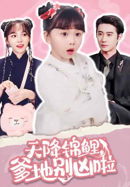天降锦鲤，爹地别凶啦（62集全）厉霆琛＆小八-搜外项目网