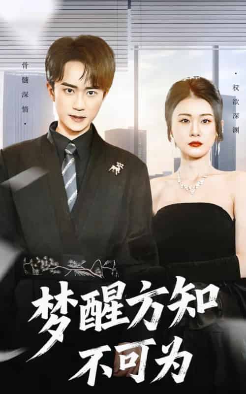 梦醒方知不可为（49集全）李永臻＆叶一宁-搜外项目网