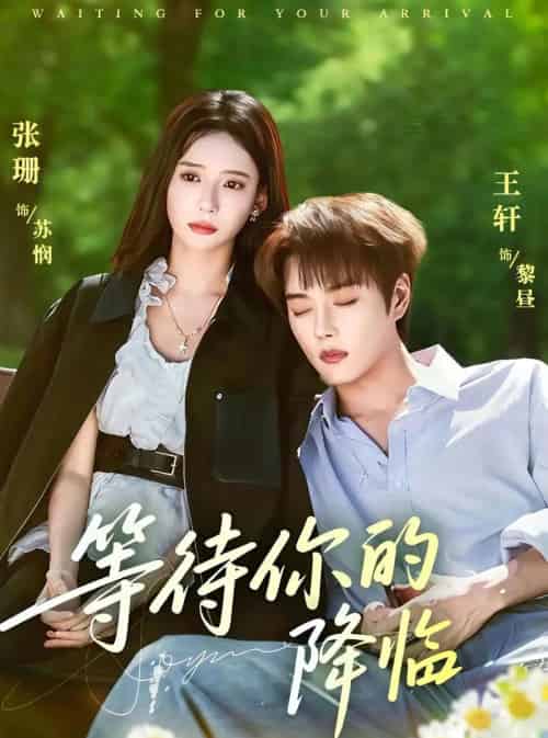等待你的降临（64集全）王轩＆张珊-搜外项目网