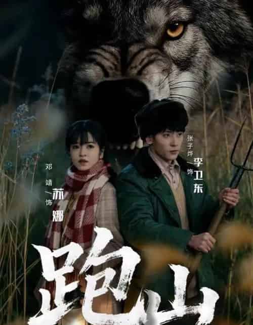 跑山：知青岁月里的野性和激情（83集全）邓靖＆张子烨-搜外项目网