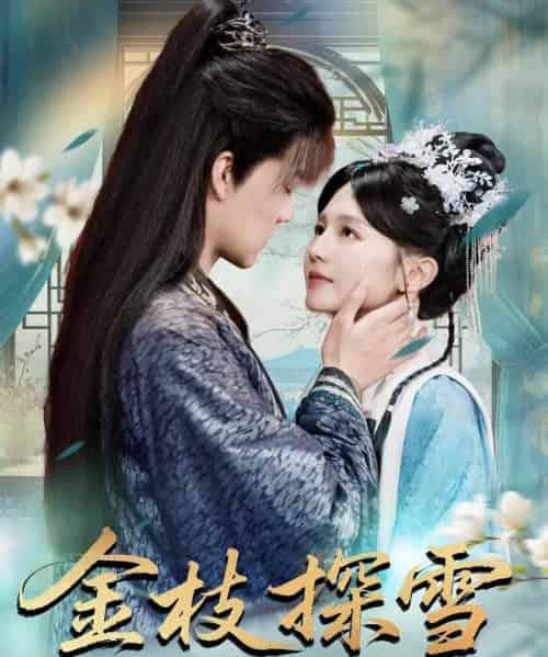 金枝探雪（97集）郑初晨-搜外项目网