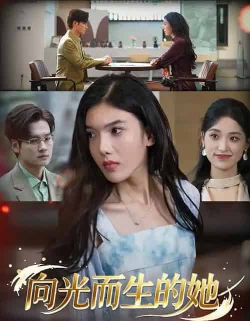 向光而生的她（36集全）王子茜＆刘国文-搜外项目网