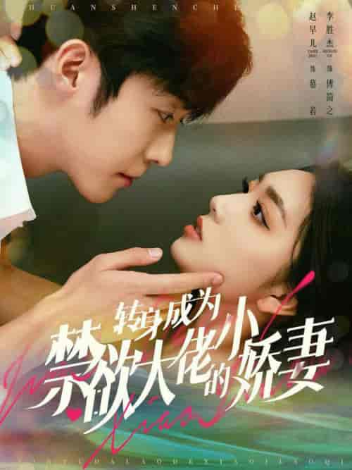 转身成为禁欲大佬的小娇妻(88集全)李胜杰&赵早儿-搜外项目网