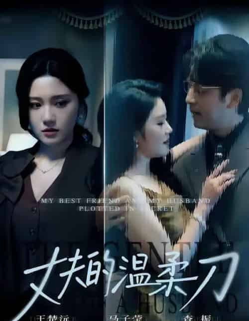 丈夫的温柔刀(63集全)王楚沅&查振-搜外项目网