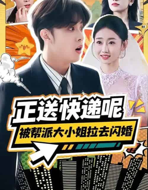 正送快递呢，被帮派大小姐拉去闪婚（60集全）丛思涵＆杨少聪-搜外项目网