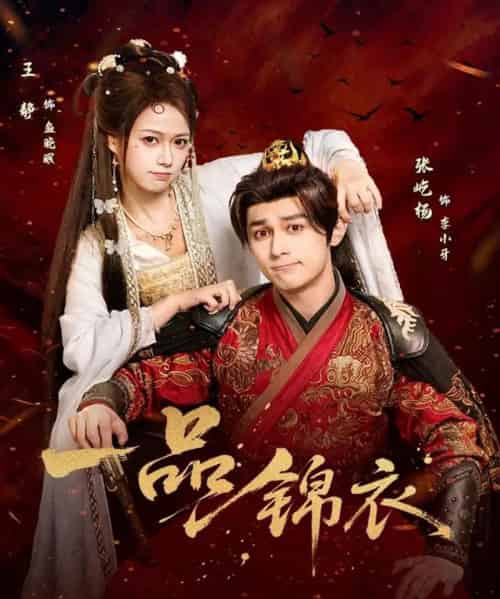 一品锦衣（80集全）张屹杨＆王静-搜外项目网