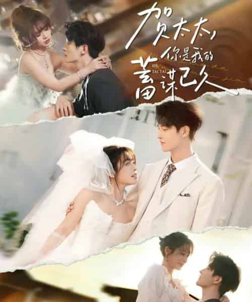贺太太，你是我的蓄谋已久（100集全）魏子翔＆李思言-搜外项目网