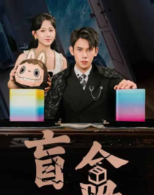盲盒（51集）徐浩楠＆高琳琳-搜外项目网