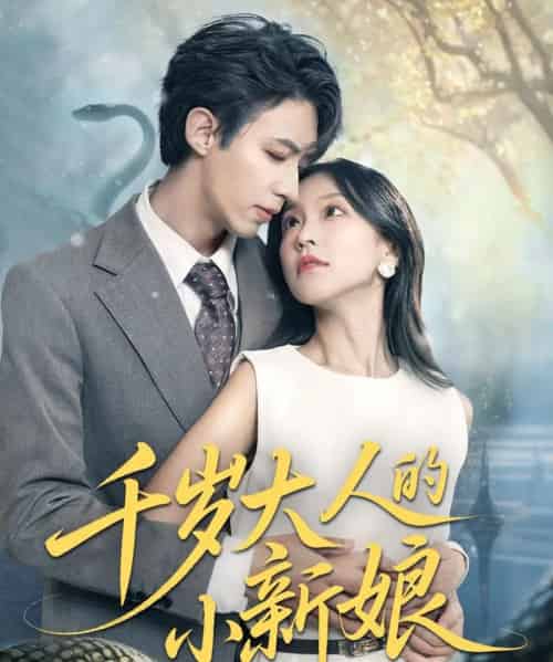 千岁大人的小新娘（63集）刘家铭＆唐之斐-搜外项目网