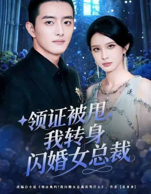 领证被甩，我转身闪婚女总裁（80集全）顾梢姌＆王晨旭-搜外项目网