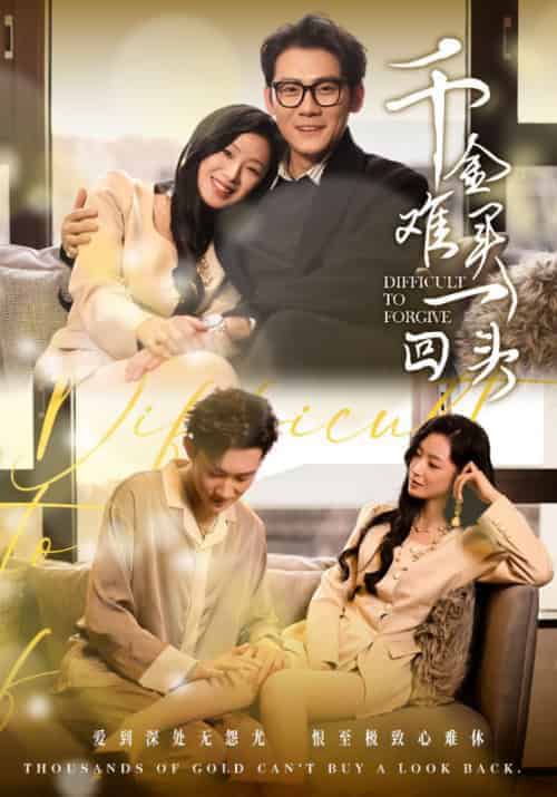 千金难买一回头（52集全）陈凡＆沈婉-搜外项目网