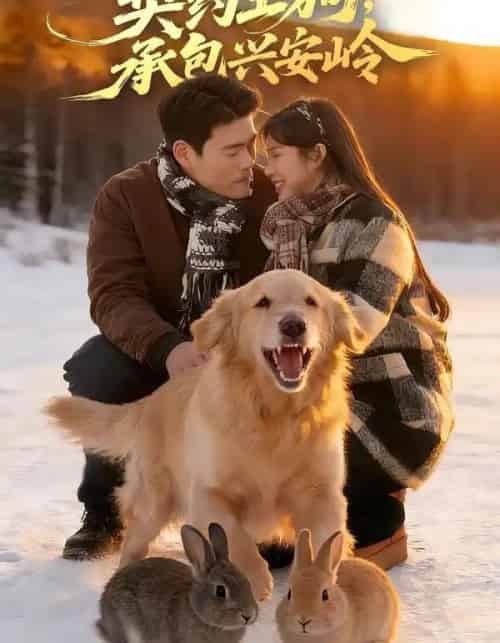 重生86:契约土狗,承包兴安岭(80集全)王冠程&李可馨-搜外项目网