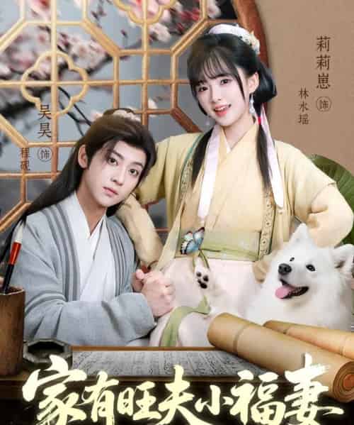 家有旺夫小福妻（93集）吴昊＆莉莉崽-搜外项目网