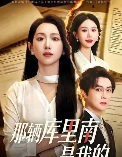 那辆库里南是我的（61集全）宋星翰＆赵婧祎-搜外项目网