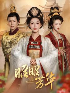 昭昭芳华（81集）孙雪阳＆赵佳-搜外项目网