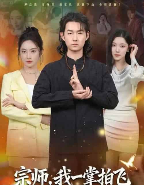 宗师，我一掌拍飞（80集全）明鹏＆生宸-搜外项目网