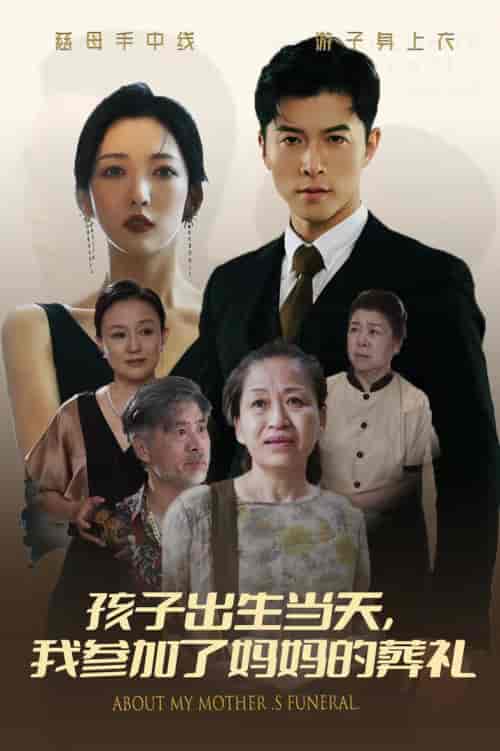 孩子出生当天，我参加了妈妈的葬礼（75集全）赵琪琪-搜外项目网