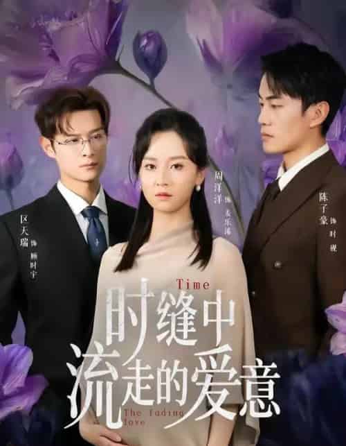 时缝中流走的爱意（71集全）周洋洋＆陈子豪-搜外项目网