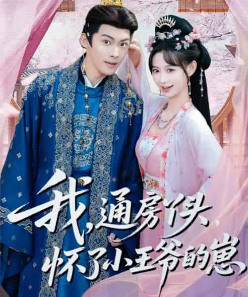 我，通房丫头，怀了小王爷的崽（60集全）高张博＆盛佳琦-搜外项目网
