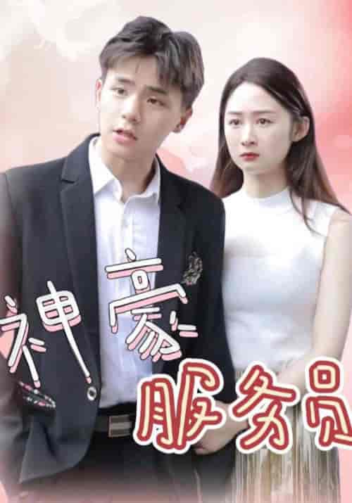 神豪服务员（107集全）叶天＆林初夏-搜外项目网