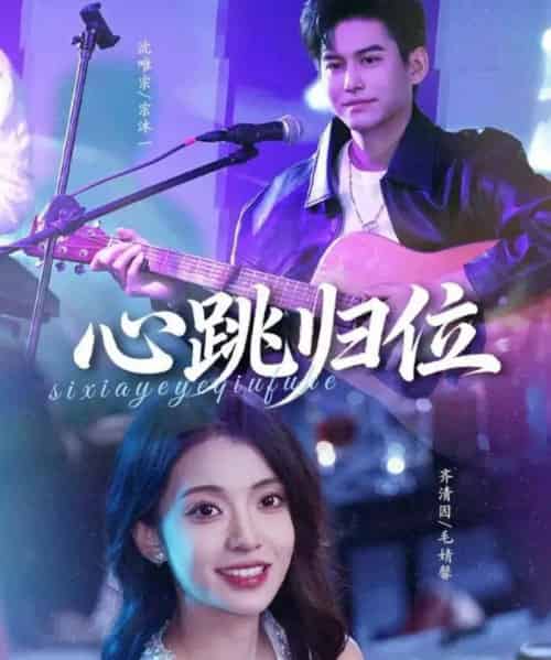 心跳归位（82集全）宗沐一＆毛婧馨-搜外项目网