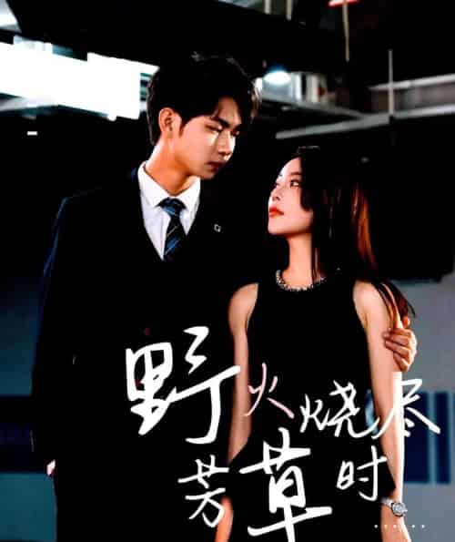 野火烧尽芳草时（65集）黄垚＆闫妍-搜外项目网