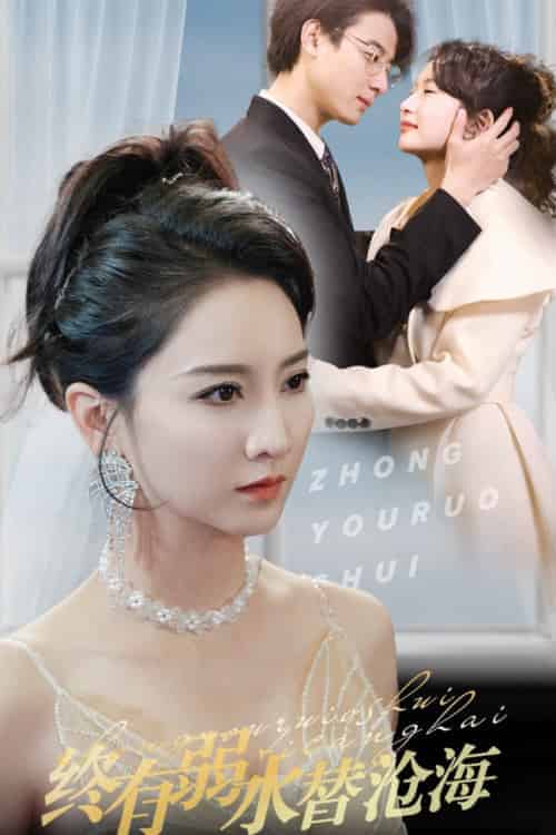 终有弱水替沧海（41集全）-搜外项目网