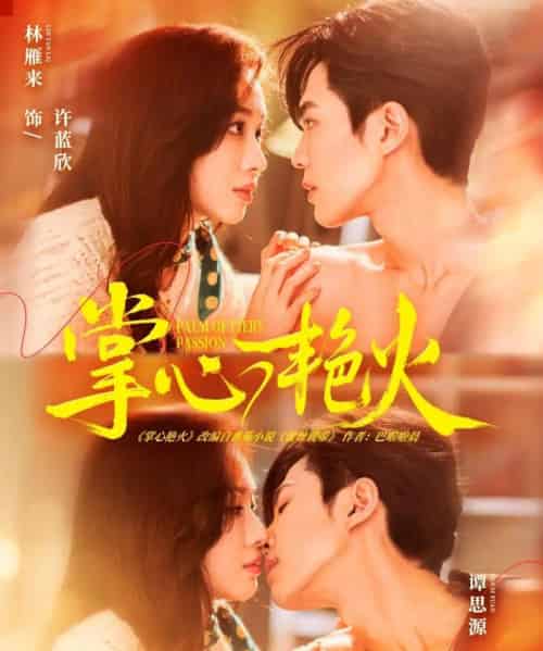 掌心艳火（70集全）谭思源＆林雁来-搜外项目网