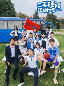 二毛硬闯短剧世界（40集全）-搜外项目网