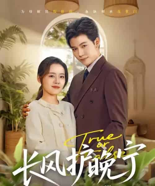 长风护晚宁（59集全）谢佳成＆余俪-搜外项目网