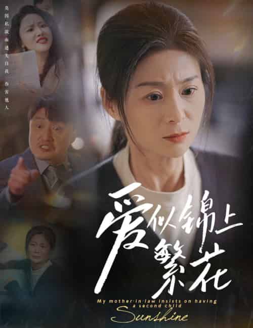 爱似锦上繁花（60集全）邹佳颖＆陈思琦-搜外项目网