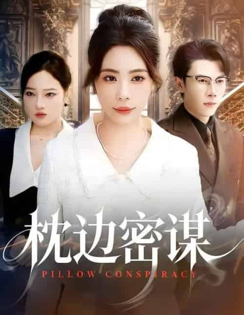 枕边密谋（73集全）秦萍＆陈伟华-搜外项目网