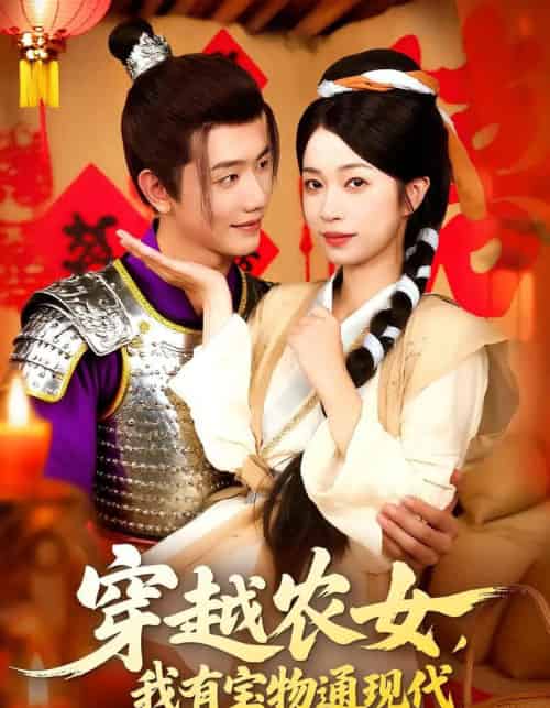 穿越农女我有宝物通现代（89集）何连飞＆陈浩怡-搜外项目网