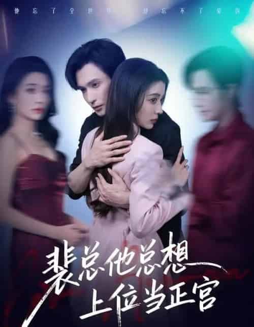 裴总他总上位当正宫（60集全）林世杰＆毛靖馨-搜外项目网