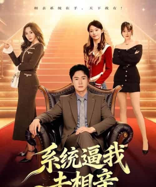 系统逼我去相亲（67集全）许顺利＆鹿子祺-搜外项目网