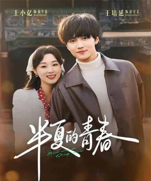 半夏的青春（80集全）王培延＆王小亿-搜外项目网