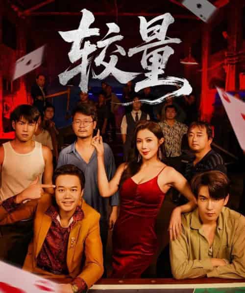 较量（70集全）沈照程＆祝昕愿-搜外项目网