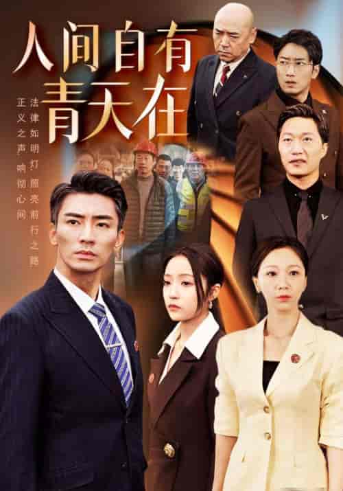 人间自有青天在（112集全）陈远＆黄淑萍-搜外项目网