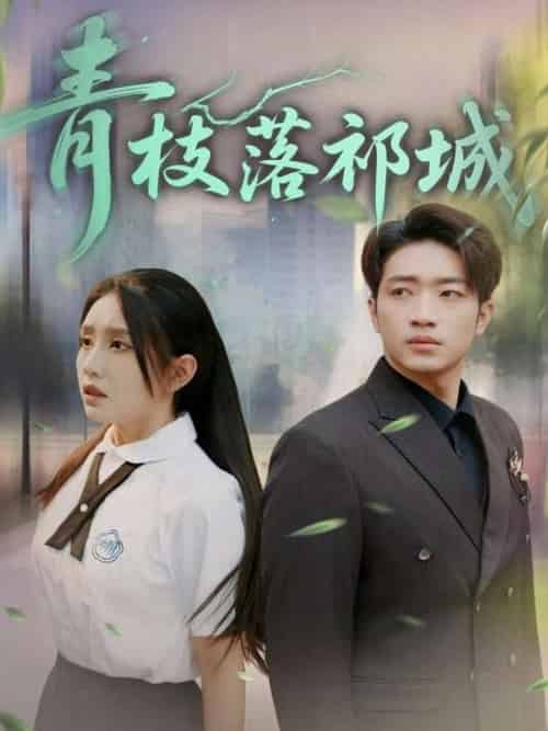 青枝落祁城（71集全）陈坤＆朱心怡-搜外项目网
