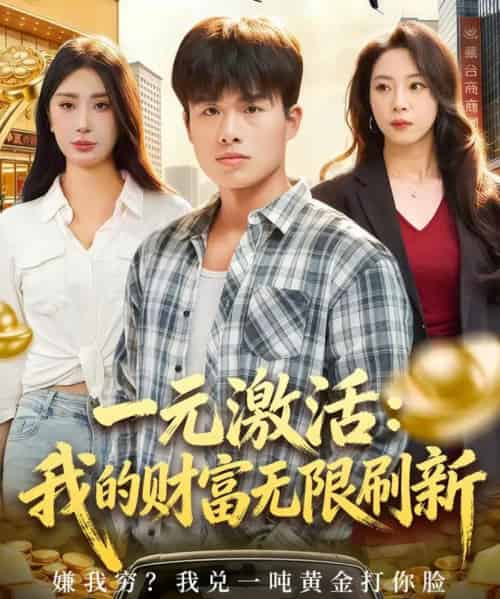 一元激活:我的财富无限刷新(80集全)赵熠城&关爱妮-搜外项目网