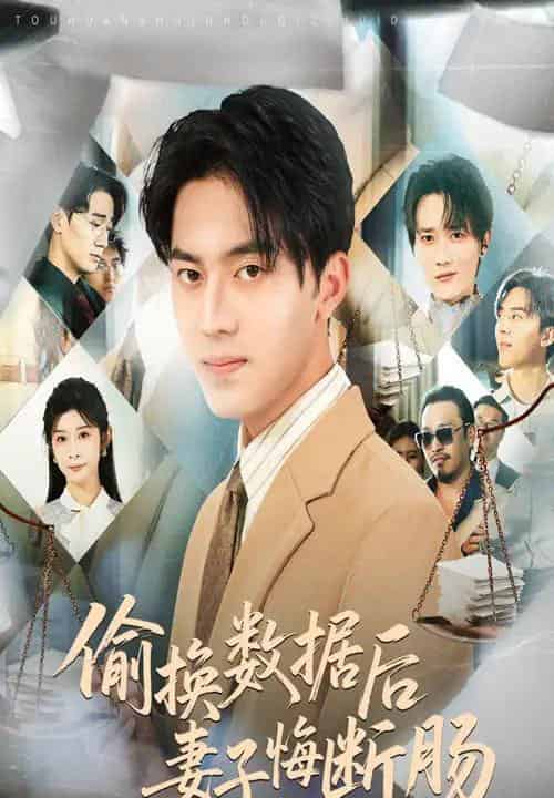 偷换数据后妻子悔断肠（63集）王言睿＆吴帆-搜外项目网