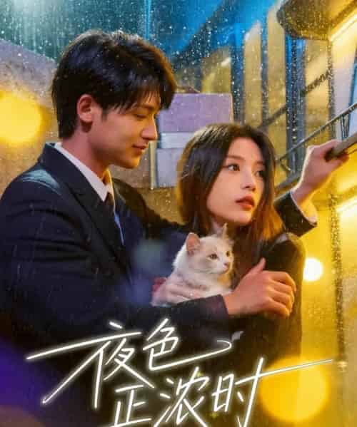 夜色正浓时(32集全)徐梅&谭伟英&博之-搜外项目网