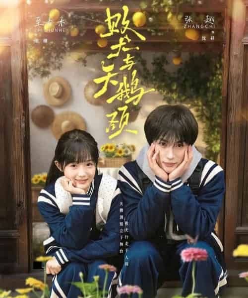 败犬与天鹅颈(71集全)张翅&至春禾-搜外项目网