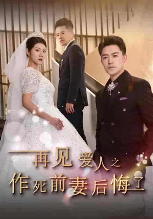 再见爱人之作死前妻后悔了（30集全）裴诚＆苏禾-搜外项目网