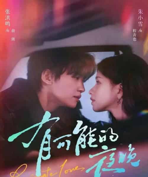 有可能的夜晚（81集全）张洪鸣＆朱小雪-搜外项目网