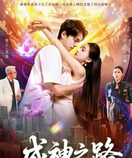 成神之路(88集全)董秋怡&陈睿阳-搜外项目网