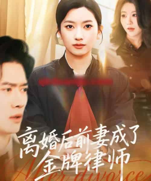 离婚后前妻成了金牌律师（94集全）张张（张玉娇）＆黎隐-搜外项目网